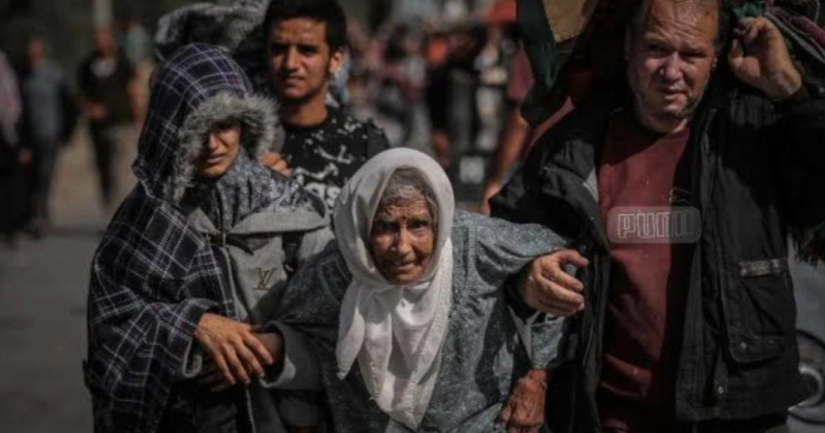 وزارة التنمية الاجتماعية: 118 ألف مسنّ في غزة يواجهون معاناة إنسانية ونفسية حادة