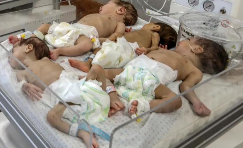 غزة تسجل 5493 مولوداً و203 وفاة في أغسطس