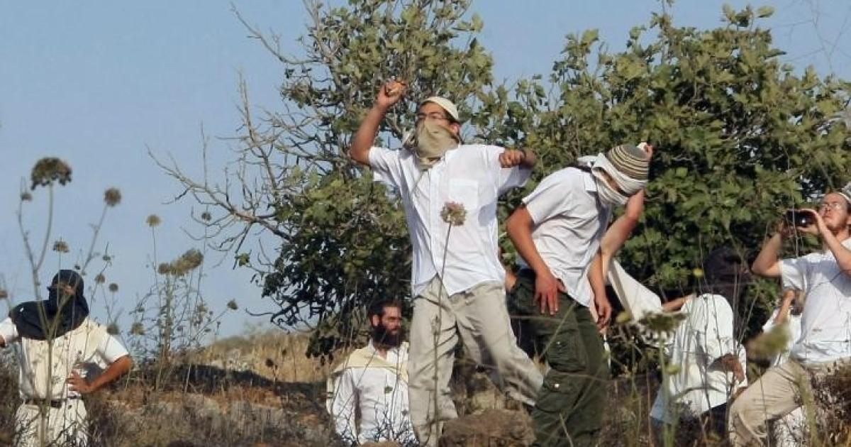 هيئة الجدار: 21 اعتداءً على مزارعي الزيتون بالضفة.. اقتلاع أشجار واقتحام أراضي