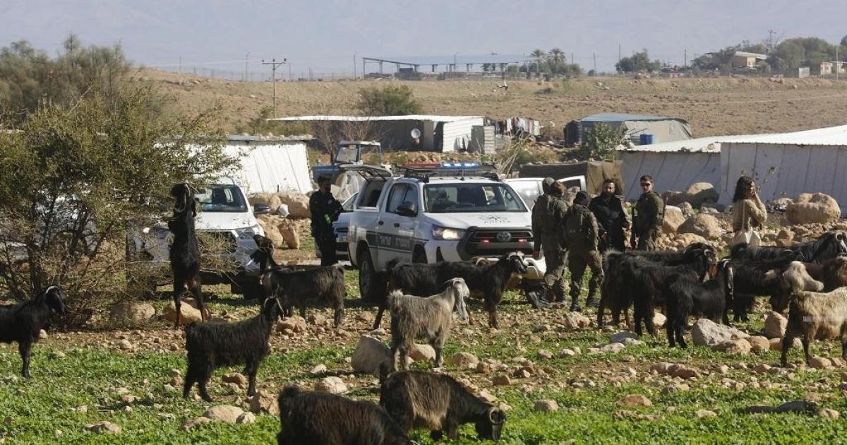 مستوطنون يمنعون الرعي في خربة الحديدية.. الطوق يضيق على الأغوار