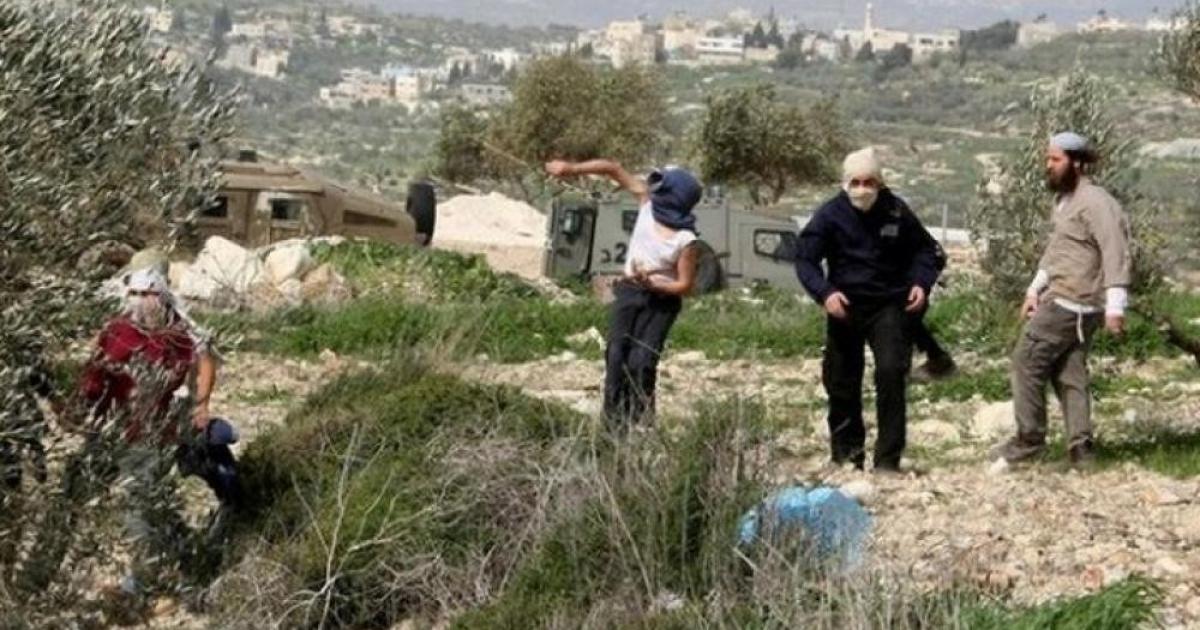 1840 انتهاكاً في أسبوع.. أكثر من نصفها على الطرق وداخل المنازل