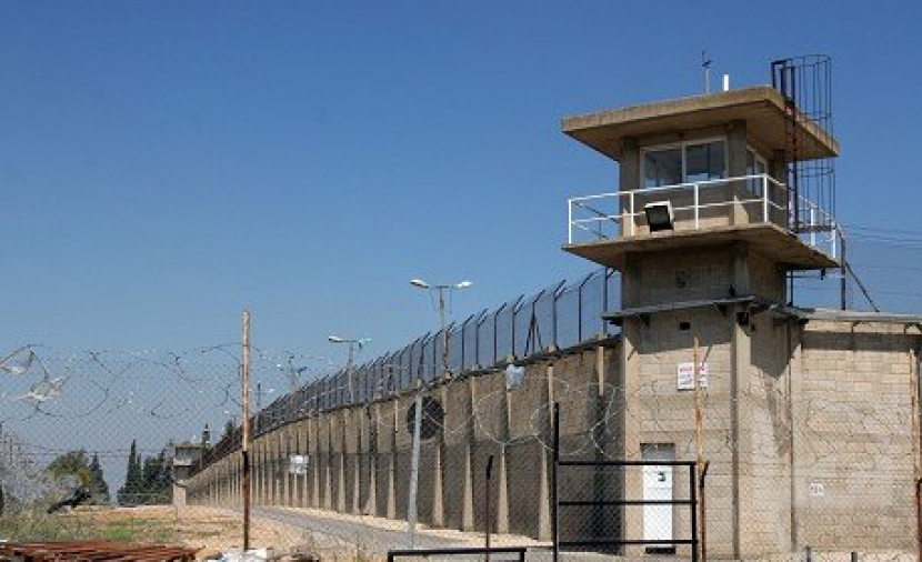 نادي الأسير: إصابة 10 أسيرات على الأقل بالجرب في سجن «الدامون»