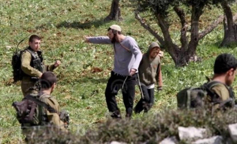 مكتب حقوق الإنسان الأممي: اعتداءات المستوطنين على منازل الفلسطينيين بلغت حدوداً لا تُطاق