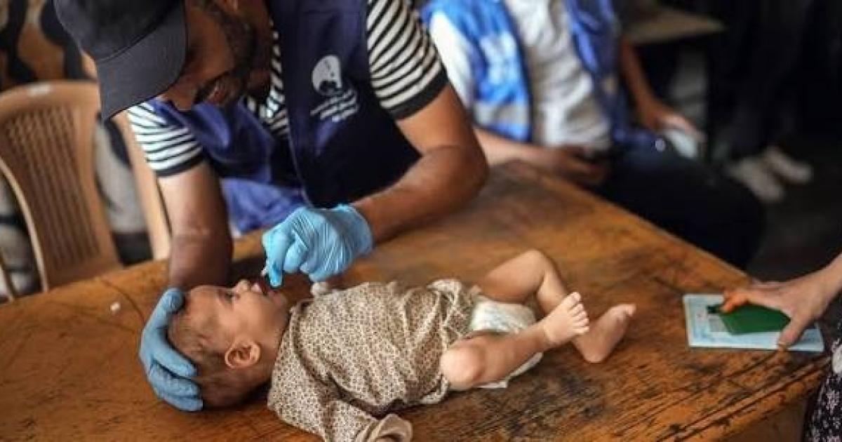 تطعيمات الأطفال في غزة: مواعيد ثابتة وحياة تتنقّل بين خيمة ومركز مؤقت