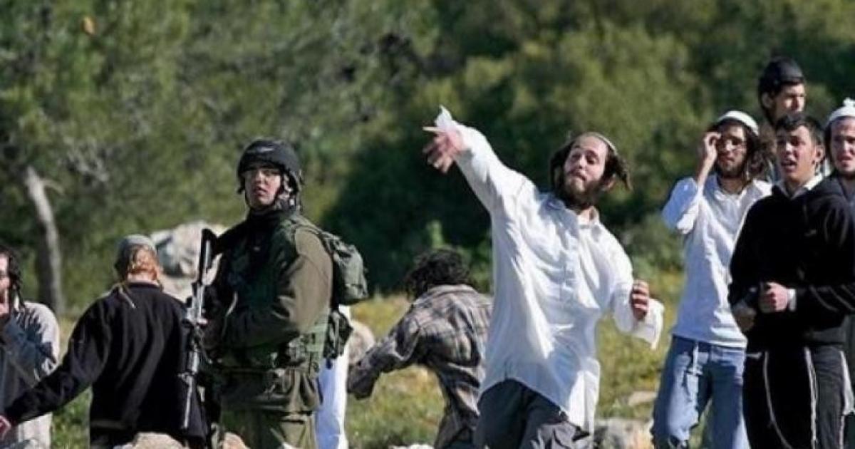 المكتب الأممي لحقوق الإنسان: اعتداءات المستوطنين على منازل الفلسطينيين بلغت حدّاً لا يُطاق